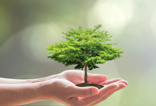 植树节活动宣传标语 