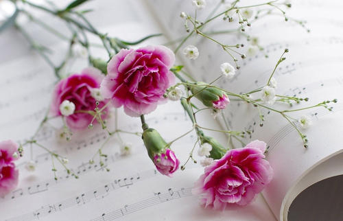 送母亲什么礼物最好 给母亲送什么礼物好