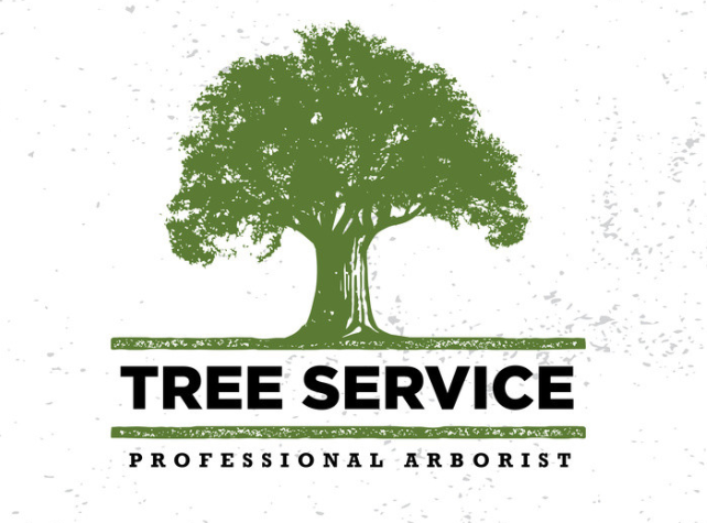 植树节种什么树