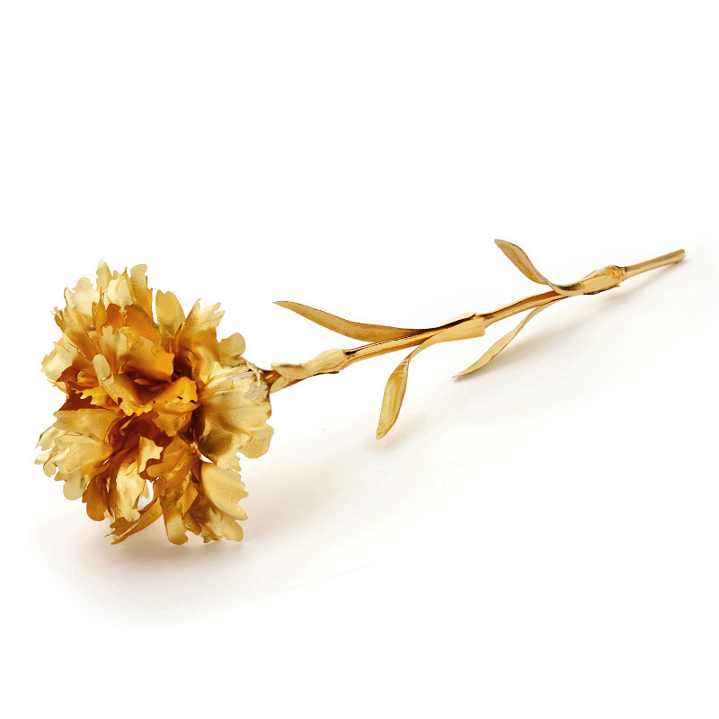 送给婆婆的母亲节礼物