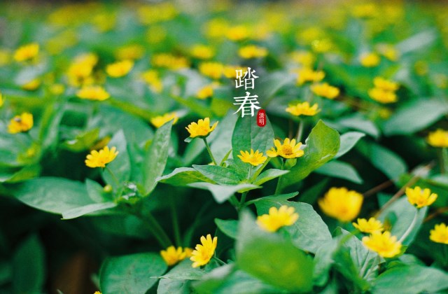 清明节发朋友圈的说说