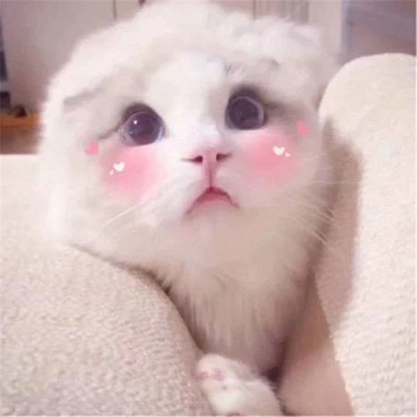 追女孩的情话表白句子 和女生表白的情话