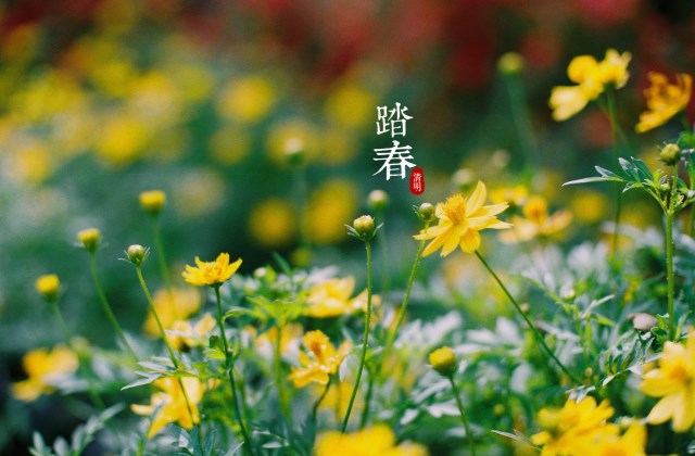 清明节不能说快乐说什么 清明节应该说什么祝福语