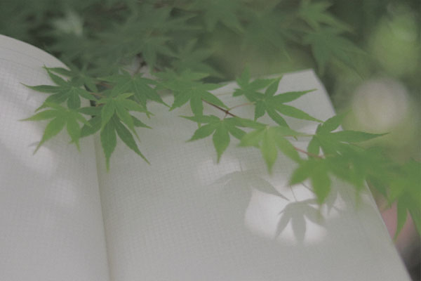 一句简短的心情句子