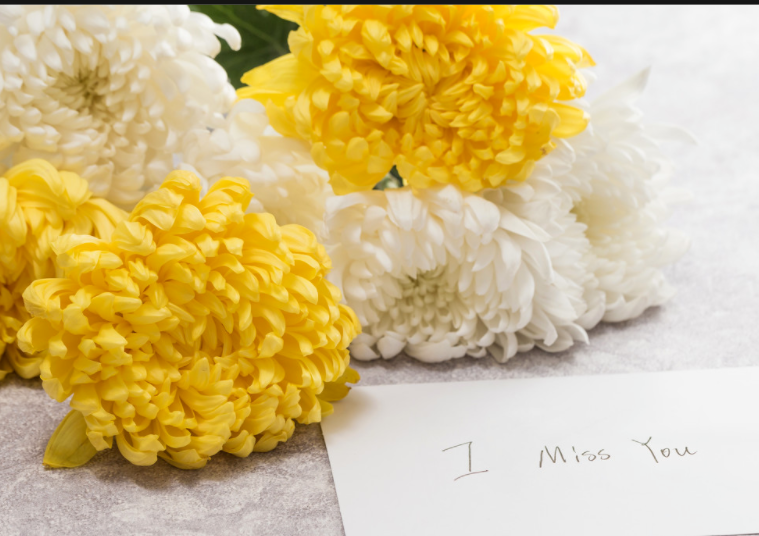 送菊花代表什么象征意义