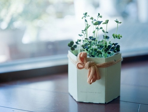 清明节寄语短句