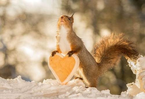 关于爱情的英文短句 英文句子爱情简短