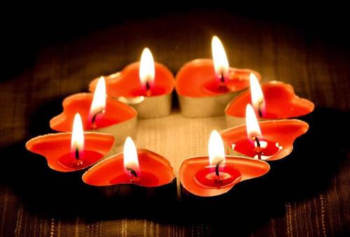 九个学科专属表白句子