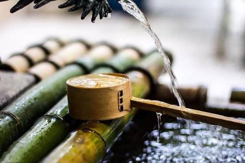 优雅的网名有气质的