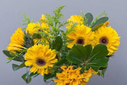 父亲节送什么花最佳 父亲节应该送什么花给爸爸