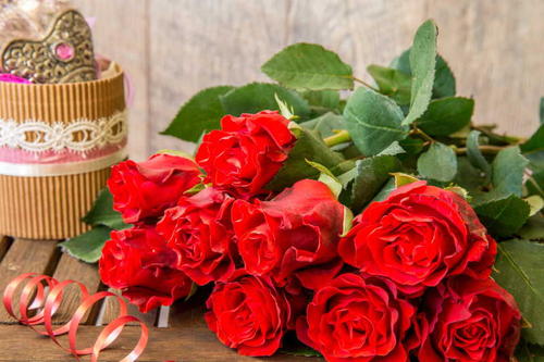 父亲节送什么花最佳