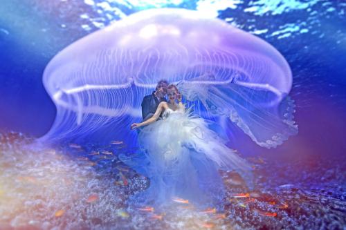 拍一套水下婚纱照多少钱