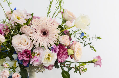 晒花怎么文字发朋友圈