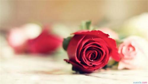 新婚送朋友什么礼物比较好