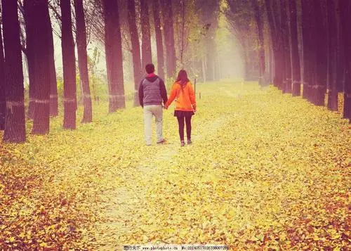 如何辨别对象是扶弟魔