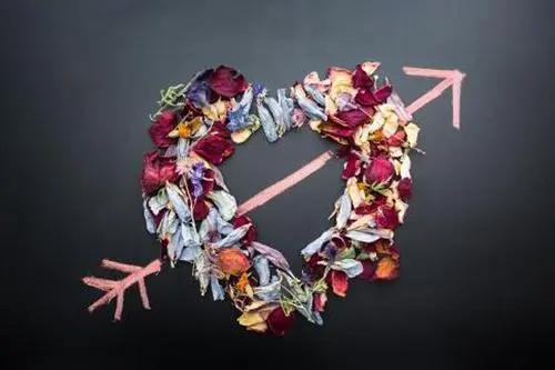 写给女朋友500字情书