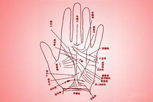 婚姻线怎么看几段姻缘