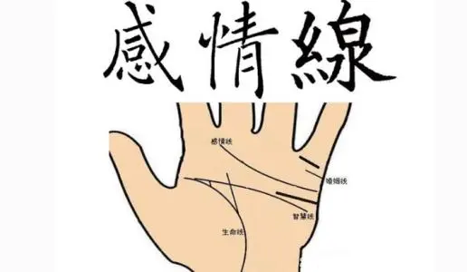 婚姻线怎么看几段姻缘