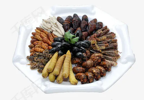 去男友家带的6样礼品