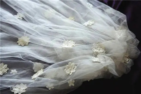 拖尾婚纱配什么头纱好看