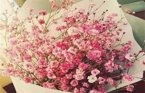 纪念日送男朋友什么花比较好