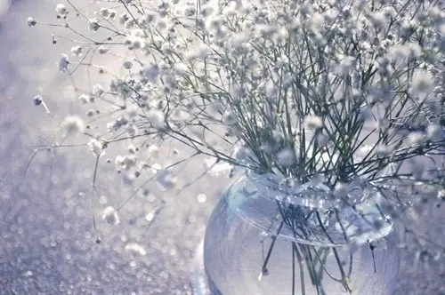 送花贺卡怎么写