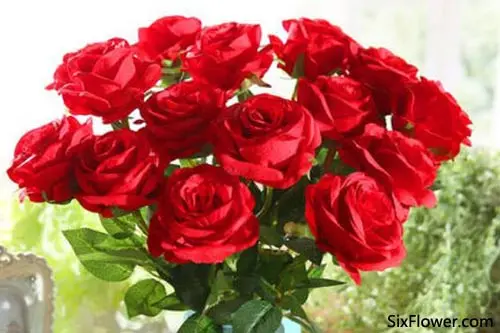 第一次送花给女生送什么花好