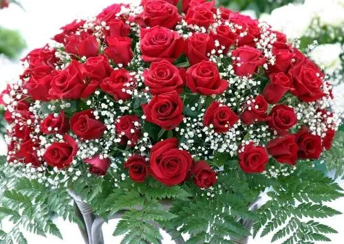 男友送红色玫瑰代表什么意思