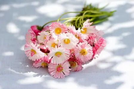 男朋友过生日适合送花吗