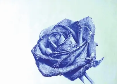 男朋友送11朵玫瑰代表什么意思