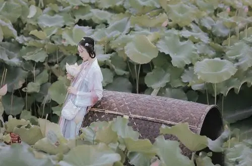 纳兰容若最有名的爱情诗句