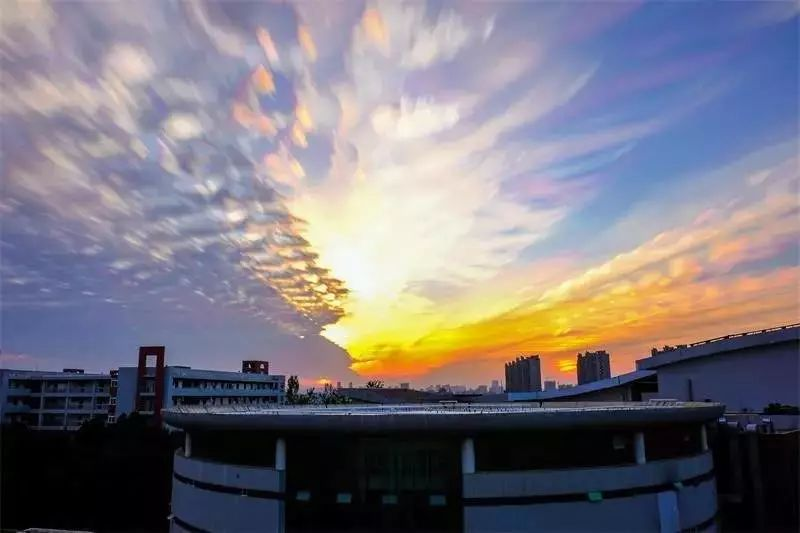 祝愿未来可期的句子