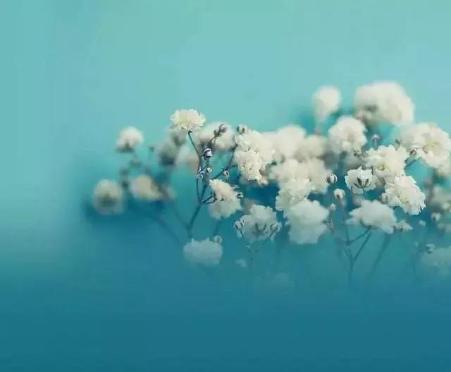 祝愿个人前程好的句子