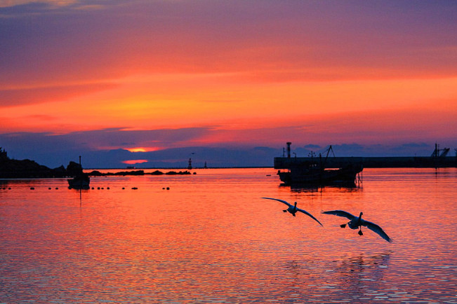 高情商回复别人夸你优秀