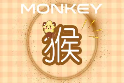 属狗跟属猴的合不合