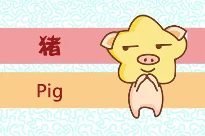 属猪和属鼠的婚姻怎么样