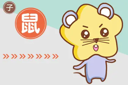 属猪和属鼠的婚姻怎么样