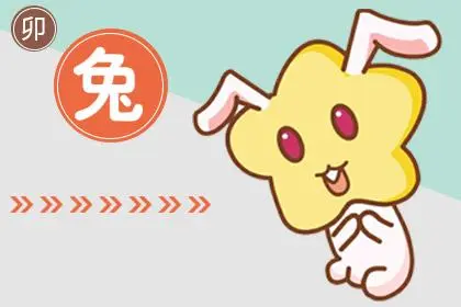 属兔的贵人是什么属相