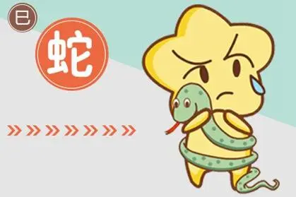 属蛇和属牛的相配吗