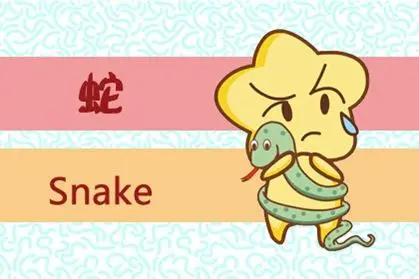 属猪和属蛇的婚姻相配吗