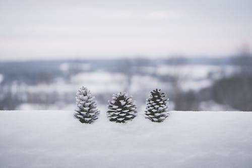 下雪天最浪漫的一句话-适合雪景的配文