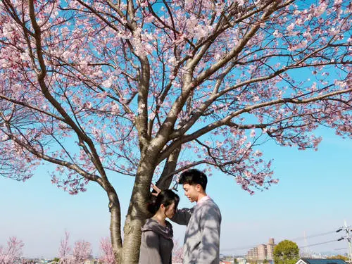 祝老婆生日快乐经典句子