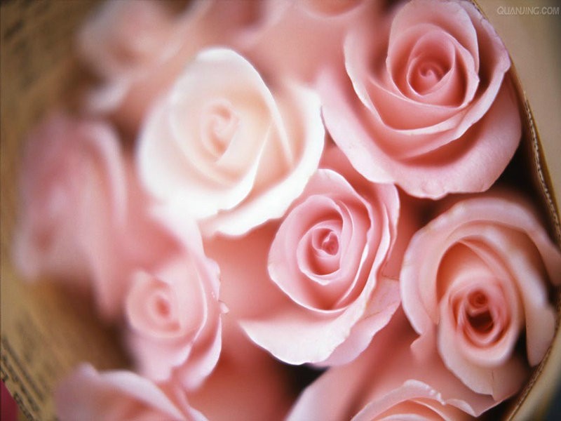 春满园山海轩美伦会所店婚宴预订