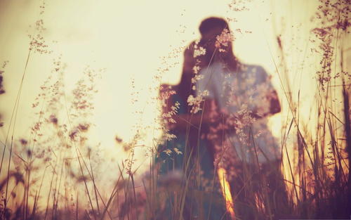 喜欢一个人表白