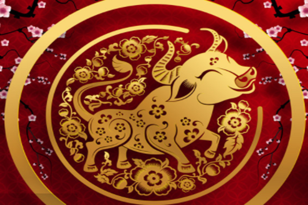 属龙女和属牛男的婚姻相配吗 女龙和男牛