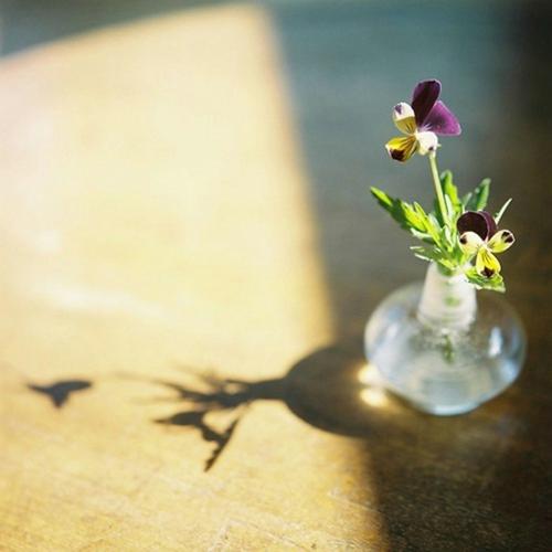 现代人不结婚的原因