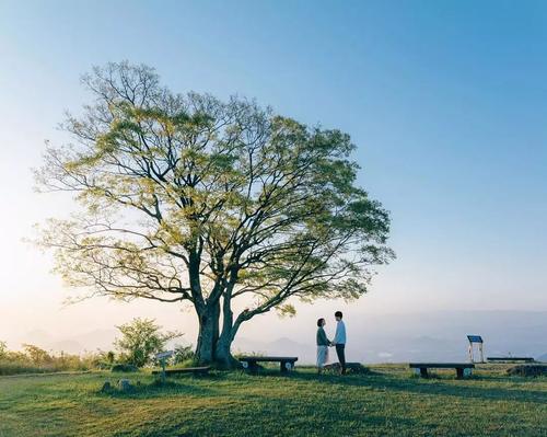 情侣间最温馨的情话 情侣间的甜蜜情话