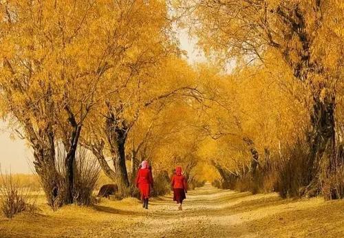 异地恋挽回女友的话 异地恋挽回女朋友感动的话