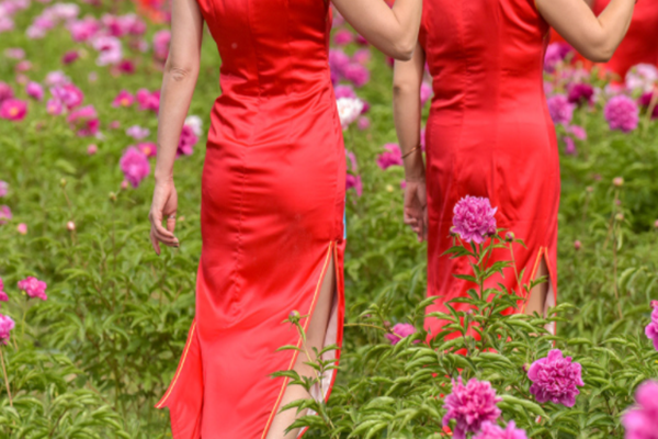 结婚婆婆忌穿什么颜色 婆婆在儿子婚礼上穿什么衣服