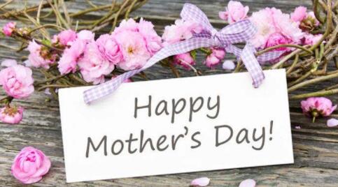 母亲节活动主题方案策划 大学生母亲节活动主题方案策划